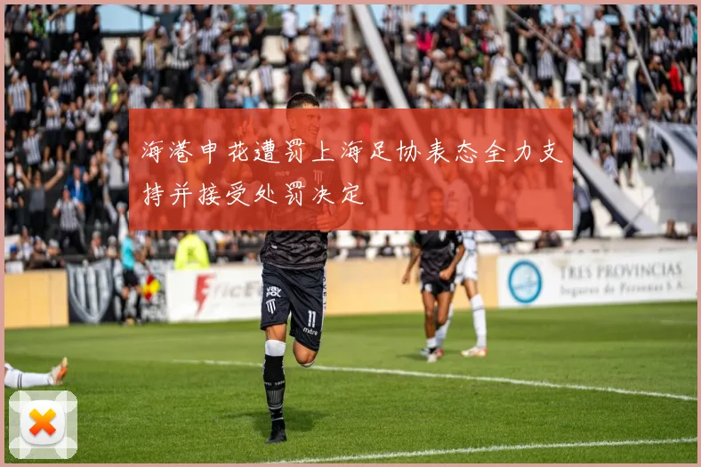 海港申花遭罚上海足协表态全力支持并接受处罚决定