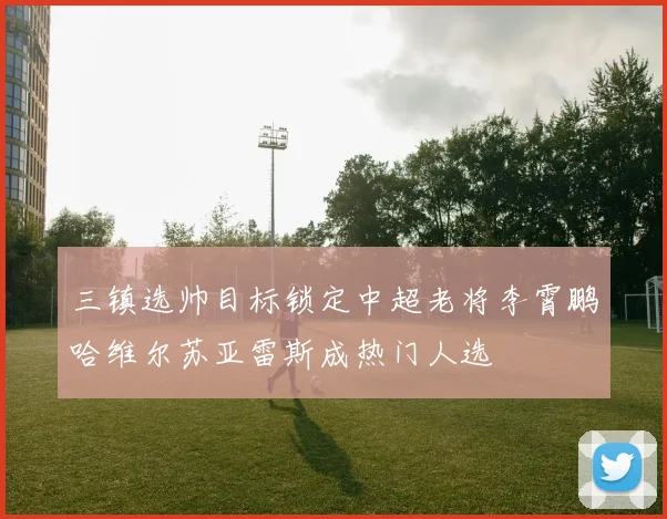 三镇选帅目标锁定中超老将李霄鹏哈维尔苏亚雷斯成热门人选